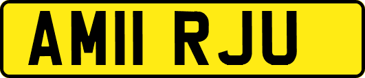 AM11RJU