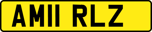 AM11RLZ