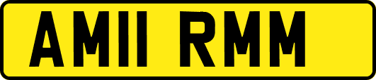 AM11RMM