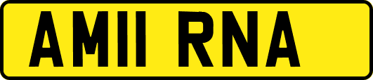 AM11RNA