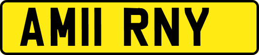 AM11RNY