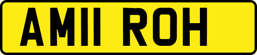 AM11ROH