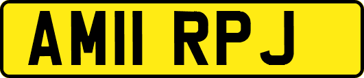 AM11RPJ