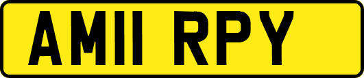 AM11RPY