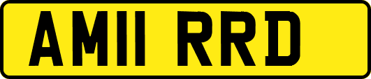AM11RRD