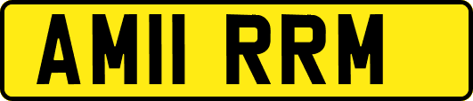 AM11RRM