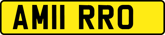 AM11RRO