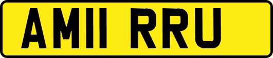 AM11RRU
