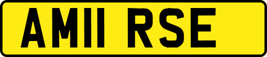 AM11RSE