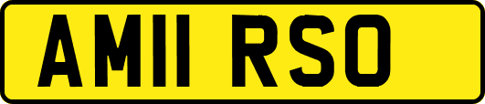 AM11RSO