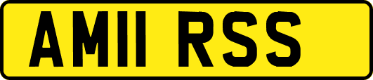 AM11RSS