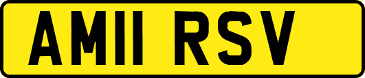 AM11RSV