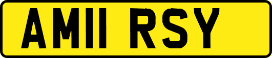 AM11RSY