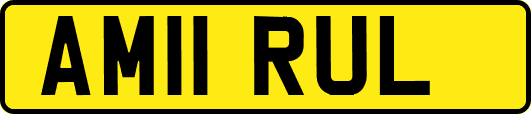 AM11RUL