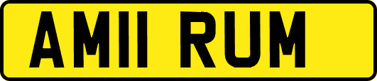 AM11RUM