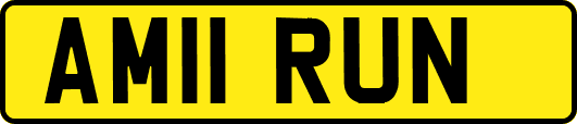 AM11RUN