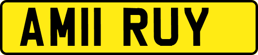 AM11RUY