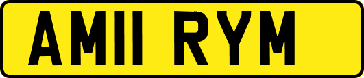 AM11RYM
