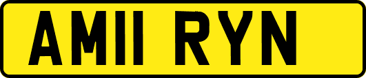 AM11RYN
