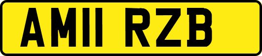 AM11RZB