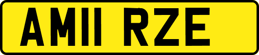 AM11RZE