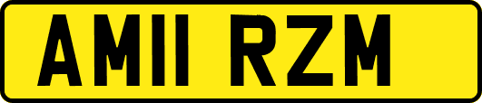 AM11RZM