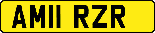 AM11RZR