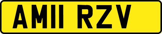 AM11RZV