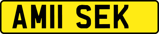 AM11SEK