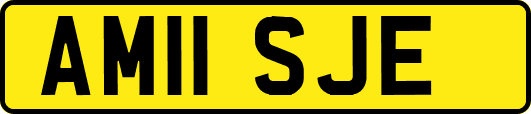 AM11SJE
