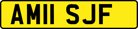 AM11SJF