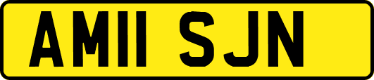 AM11SJN