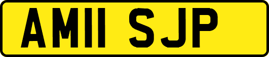 AM11SJP