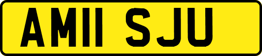 AM11SJU