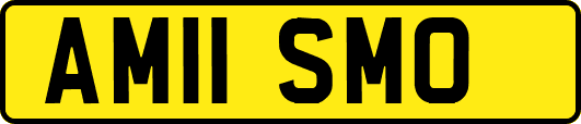 AM11SMO