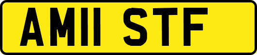 AM11STF