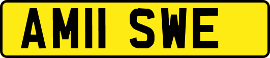 AM11SWE