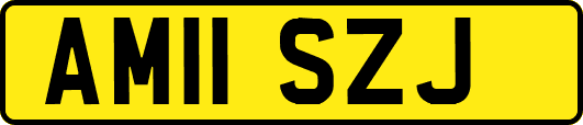AM11SZJ