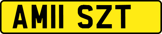AM11SZT
