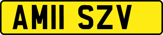 AM11SZV