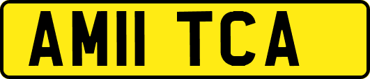 AM11TCA