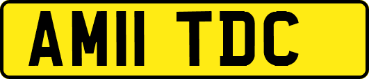 AM11TDC