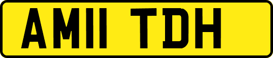 AM11TDH