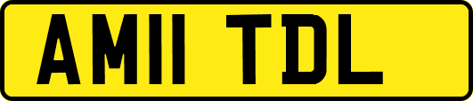 AM11TDL