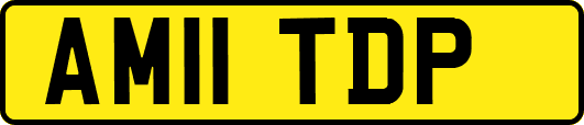 AM11TDP