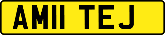 AM11TEJ