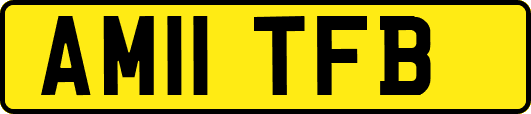 AM11TFB