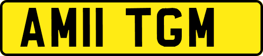 AM11TGM