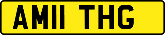 AM11THG