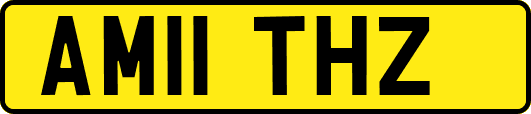 AM11THZ